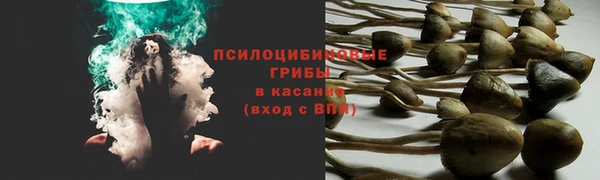 эйфоретик Магадан