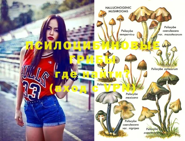 эйфоретик Магадан